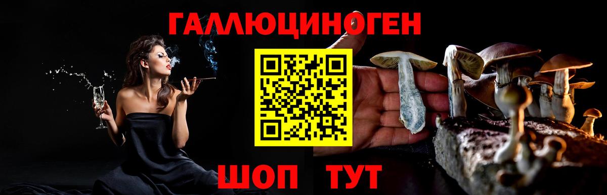Добрянка  Галлюциногенные грибы прущие грибы  Вход с VPN 